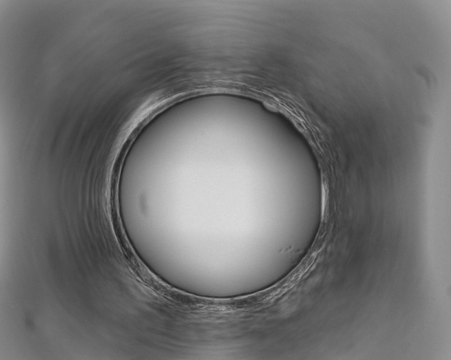 X0000112820195200908211007