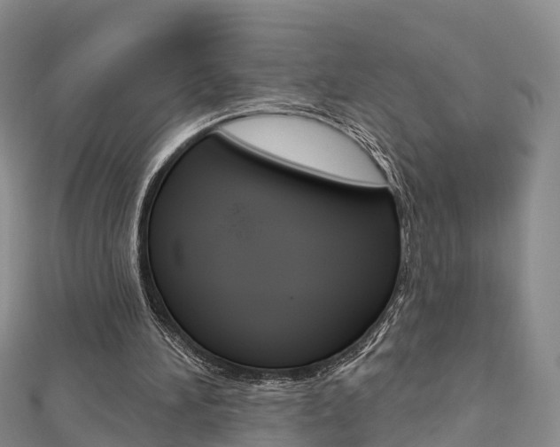 X0000112820196200908211007