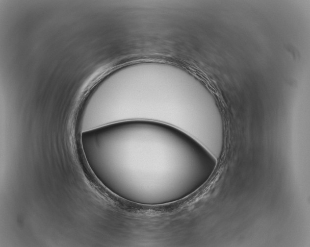 X0000112820197200908211007