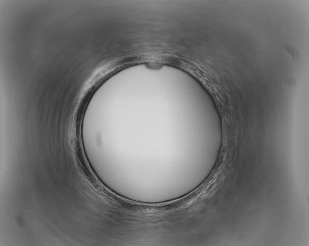 X0000112820198200908211007