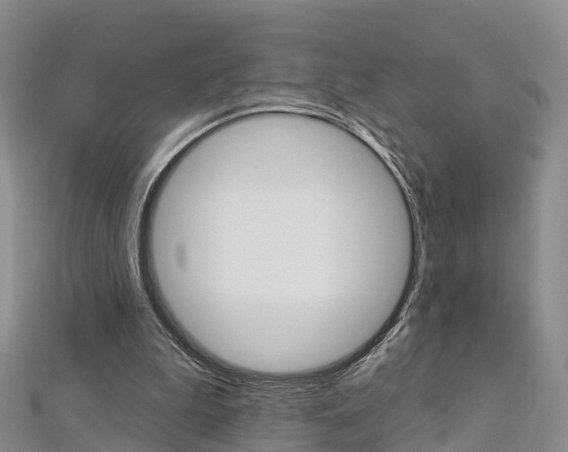 X0000112820199200908211007