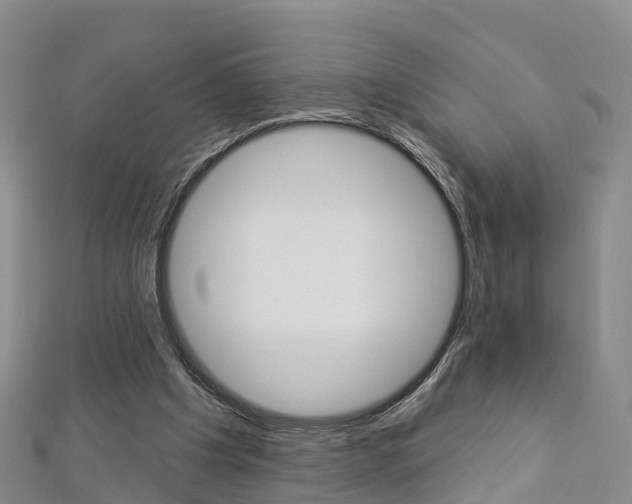 X0000112820201200908211007