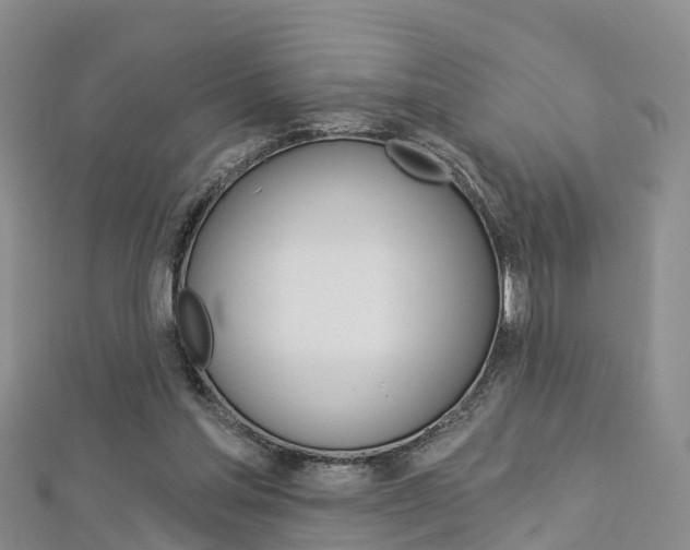 X0000112820205200908211007