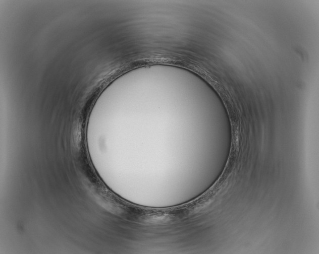 X0000112820206200908211007