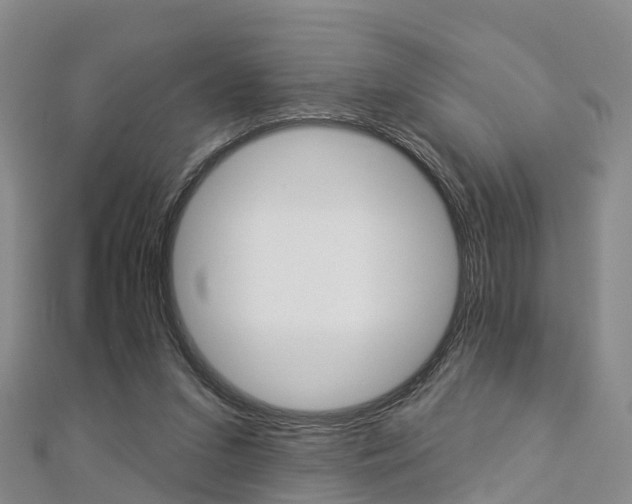 X0000112820207200908211007