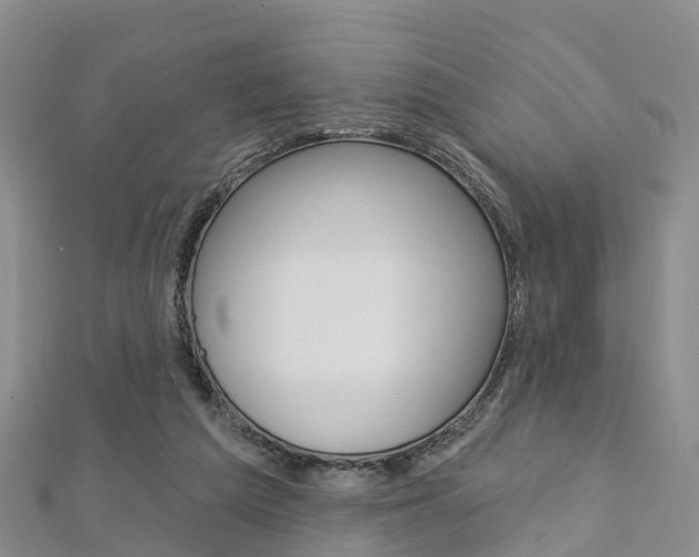 X0000112820209200908211007