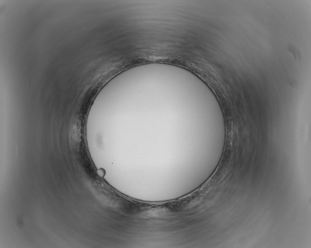 X0000112820210200908211007