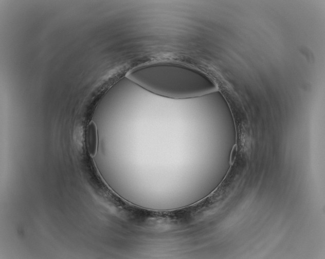 X0000112820211200908211007