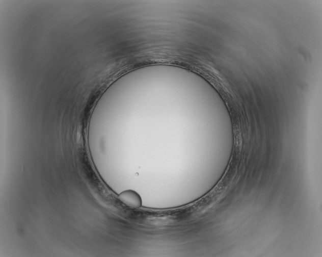 X0000112820213200908211007