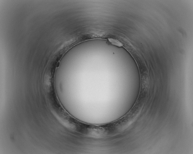 X0000112820215200908211007