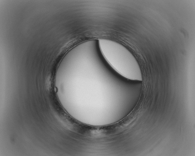 X0000112820216200908211007