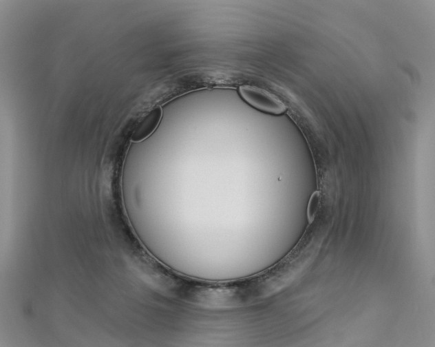 X0000112820217200908211007