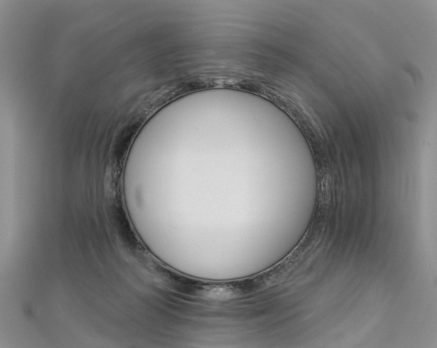 X0000112820218200908211007