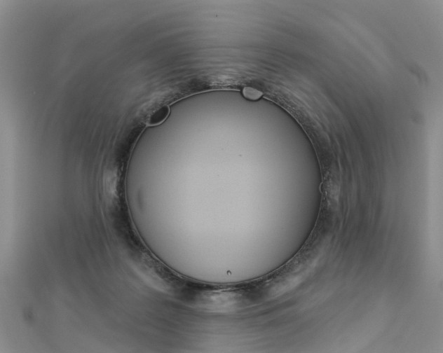 X0000112820219200908211007