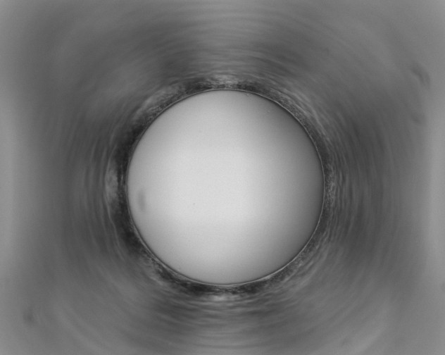 X0000112820220200908211007