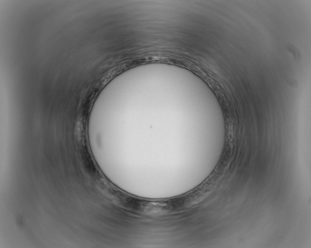 X0000112820222200908211007