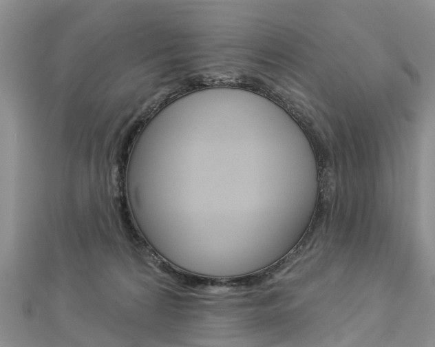 X0000112820224200908211006