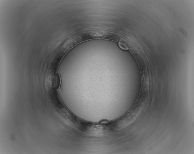 X0000112820227200908211006