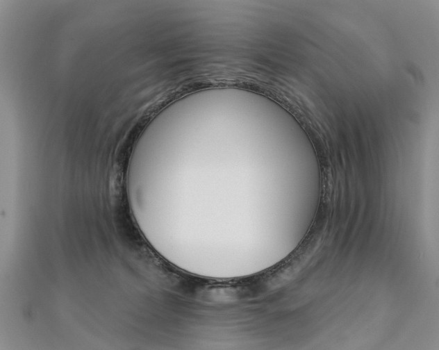 X0000112820228200908211006