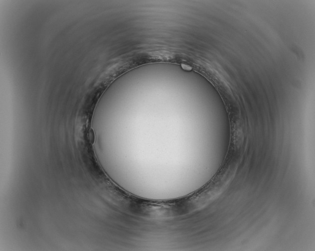 X0000112820229200908211006