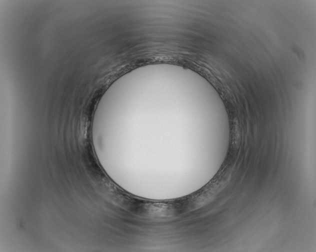 X0000112820230200908211006