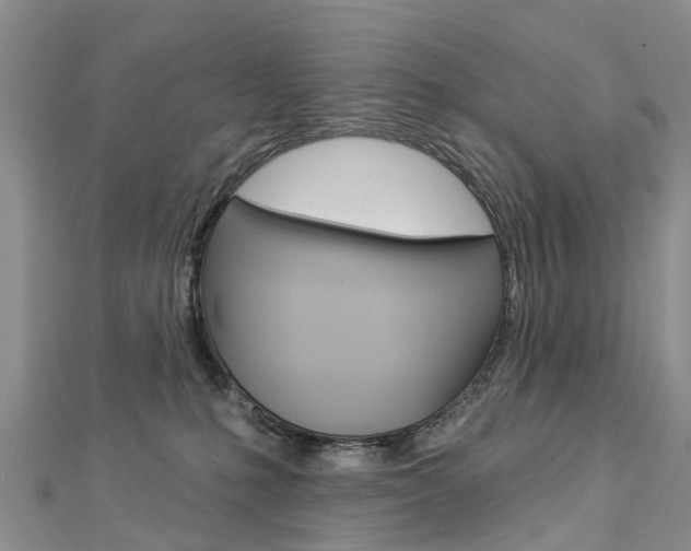 X0000112820231200908211006