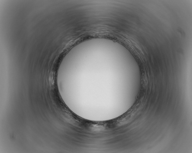 X0000112820232200908211006