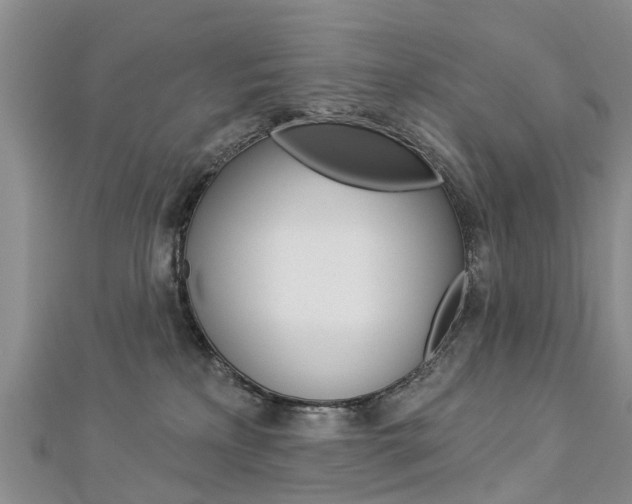 X0000112820233200908211006