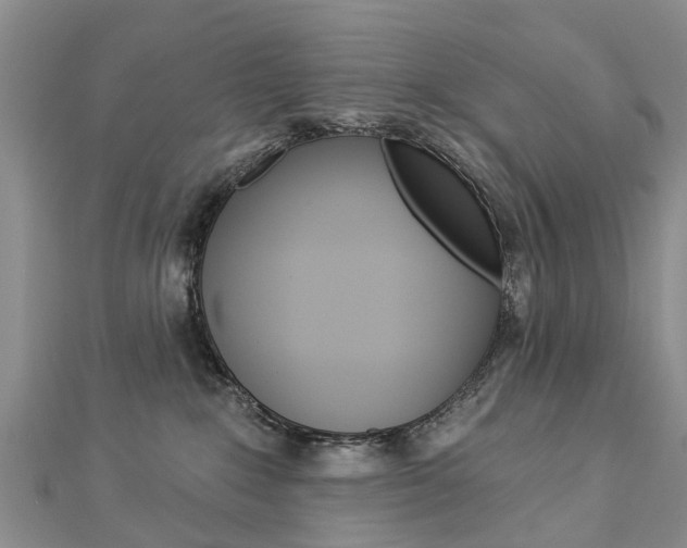 X0000112820235200908211006
