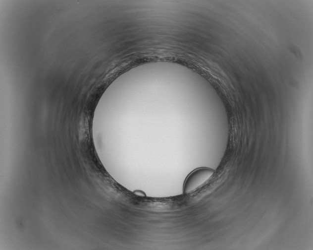 X0000112820236200908211006