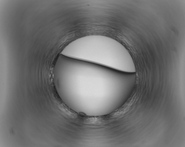 X0000112820237200908211006