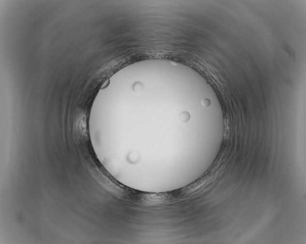 X0000112820238200908211006