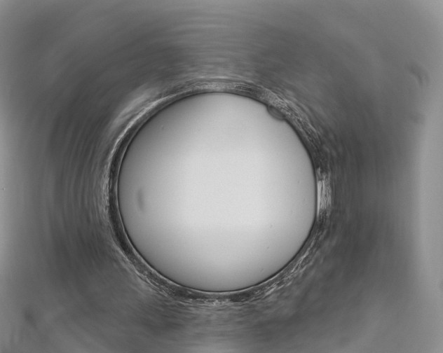 X0000112820243200908211006