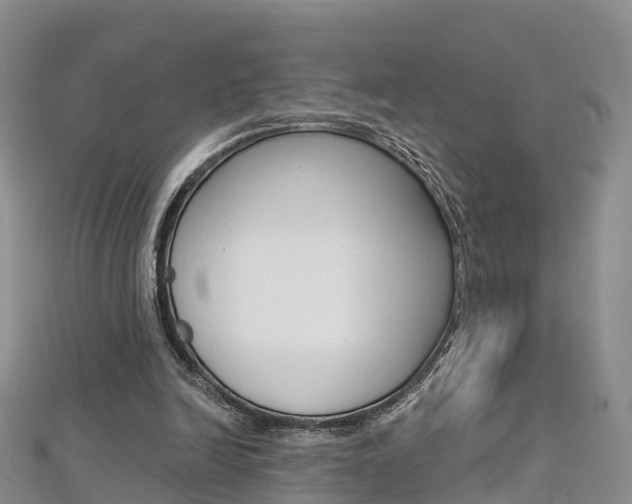 X0000112820246200908211006
