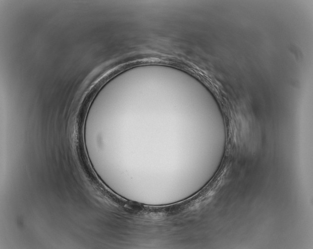 X0000112820247200908211006