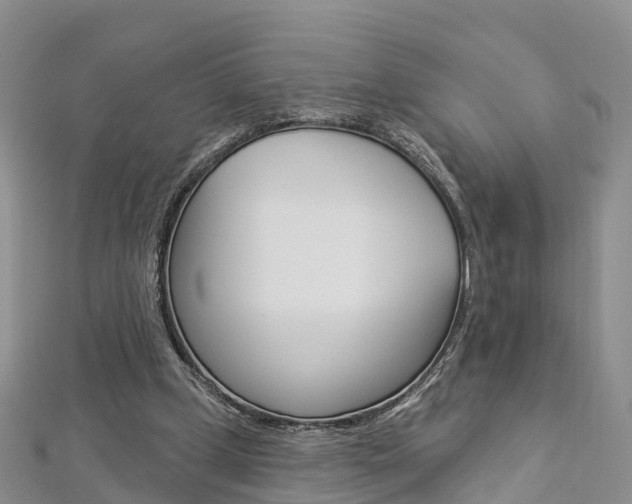 X0000112820249200908211006