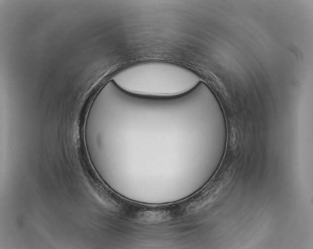 X0000112820251200908211006