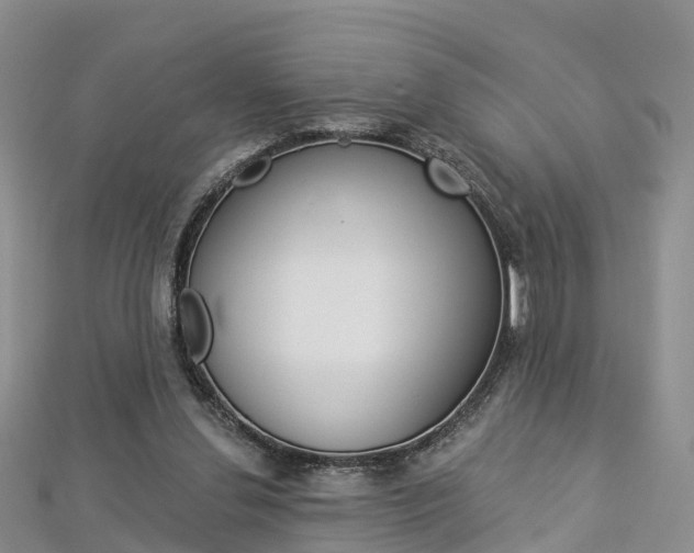 X0000112820252200908211006
