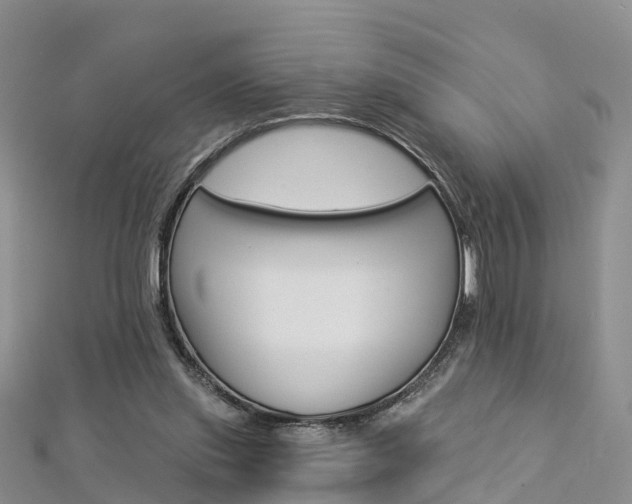 X0000112820253200908211006