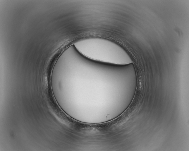 X0000112820254200908211006