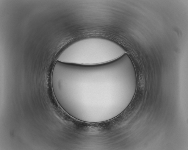 X0000112820255200908211006