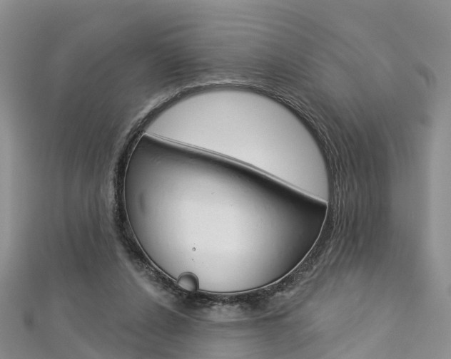 X0000112820256200908211006