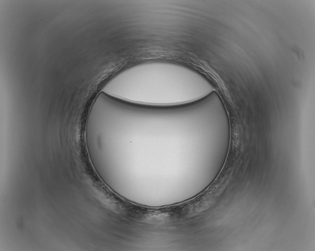 X0000112820257200908211006