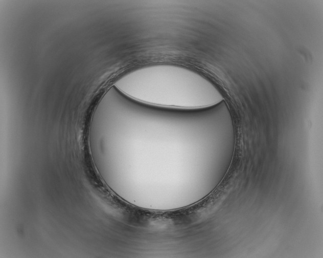 X0000112820258200908211006