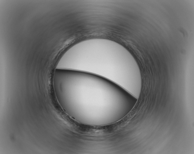 X0000112820260200908211006