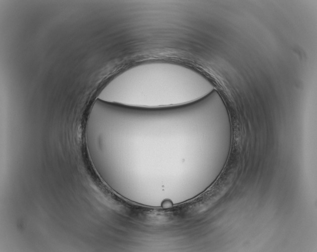 X0000112820261200908211006