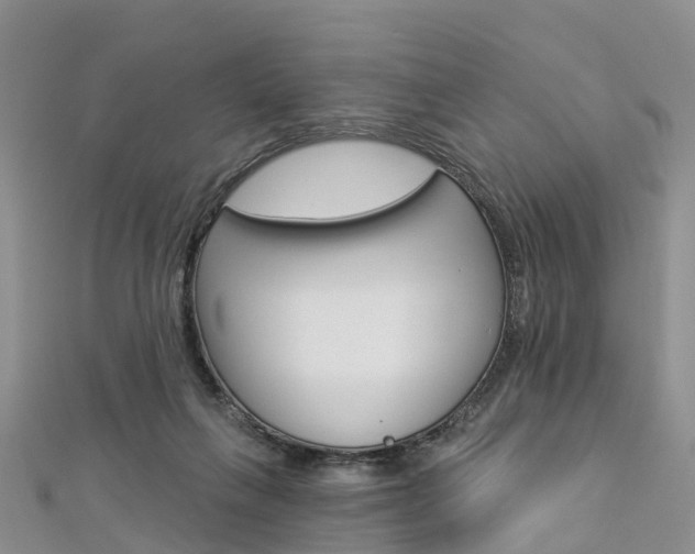 X0000112820263200908211006