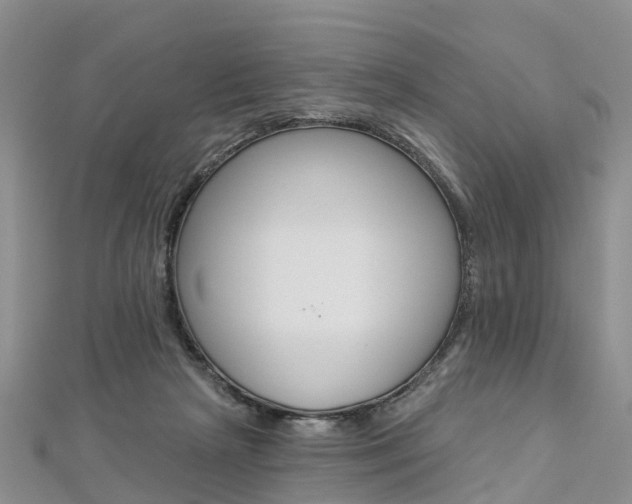 X0000112820265200908211006