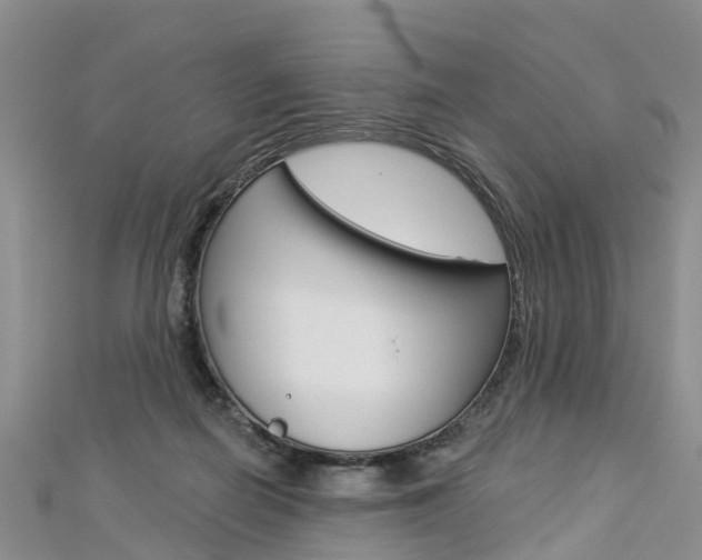 X0000112820266200908211006