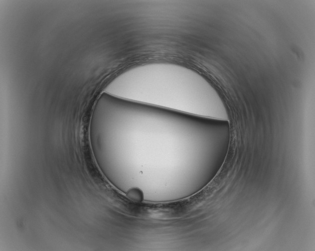 X0000112820268200908211006